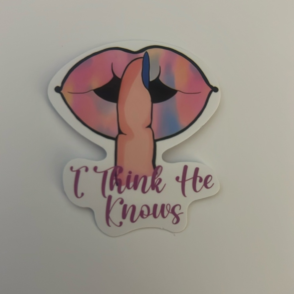 Taylor Swift Vinyl Sticker